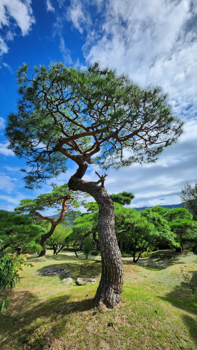 KakaoTalk_20250309_135707101_01